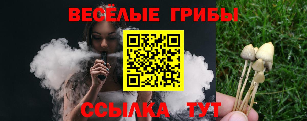 Псилоцибиновые грибы GOLDEN TEACHER  Вход с VPN  Кизляр 